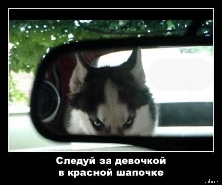 Красная фапочка :)