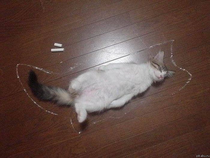 Место убийства.