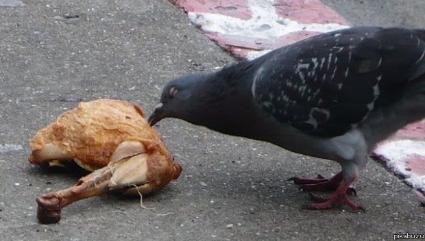 каннибализм, как он есть