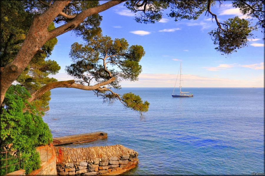 Мечта об отпуске