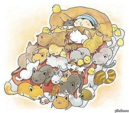 Идеальная картинка для Пикабу))