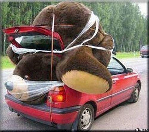 чертовы браконьеры....