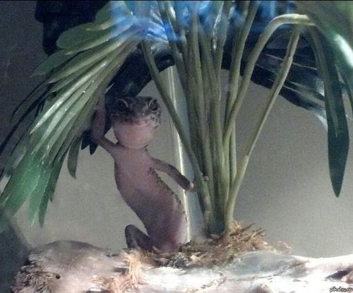 I`m sexy &amp; I khow it!!!