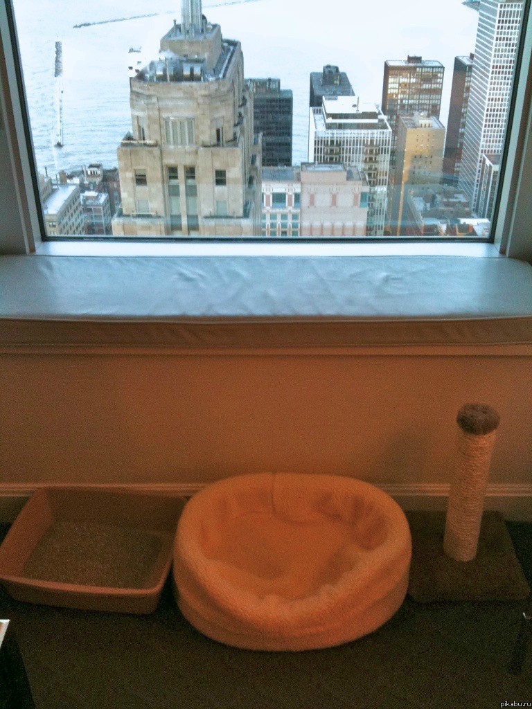     &quot;4 &quot;,      .      ,   ...()