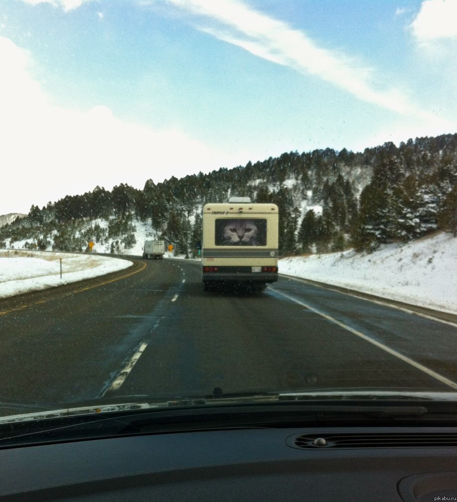 "Праздник к нам приходит..."