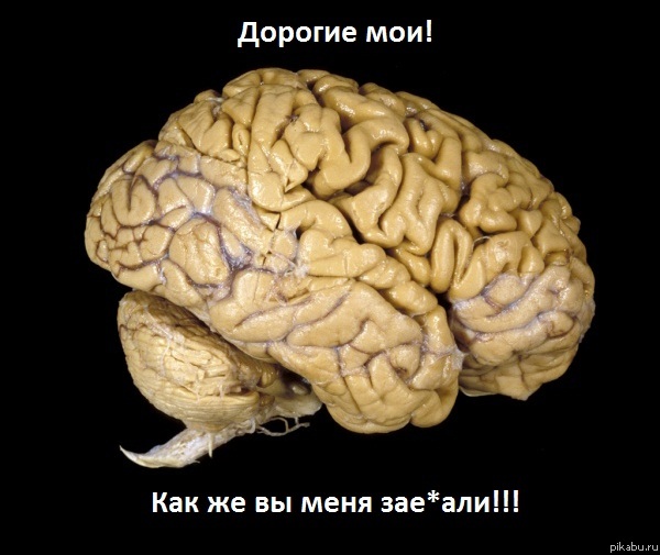 крик души