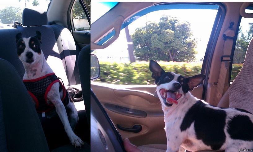 &quot;         .  , ?))&quot; ()