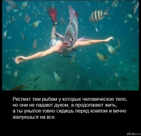 ������� ��� �����...