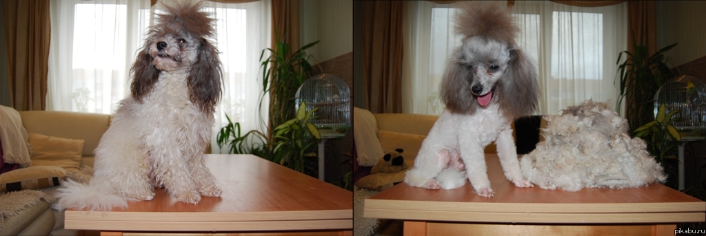 ������ �����!