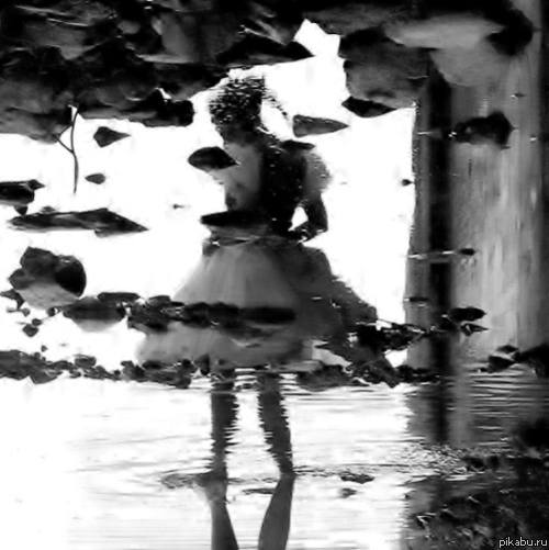 ���������.