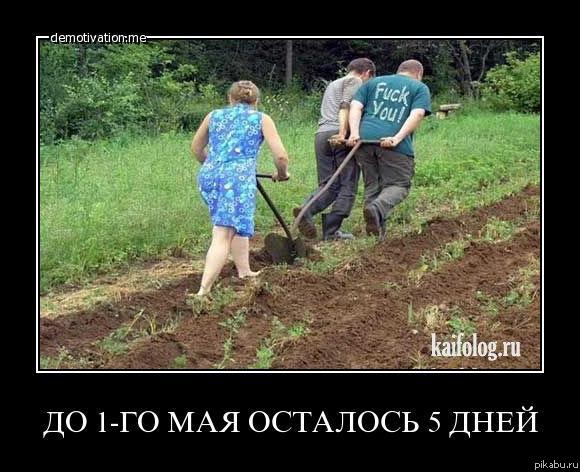 До 1-ого мая осталось 5 дней