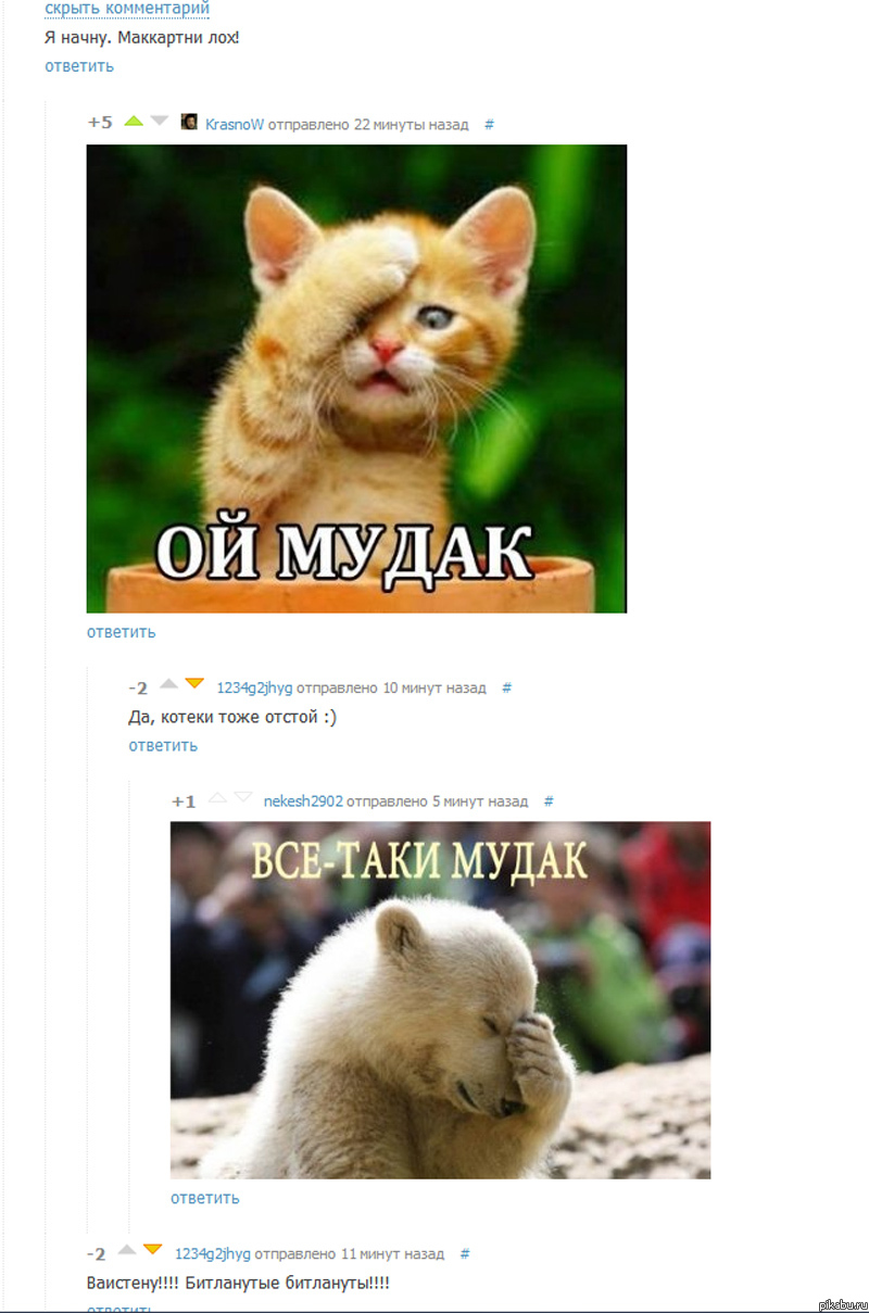     .   Pikabu,   .