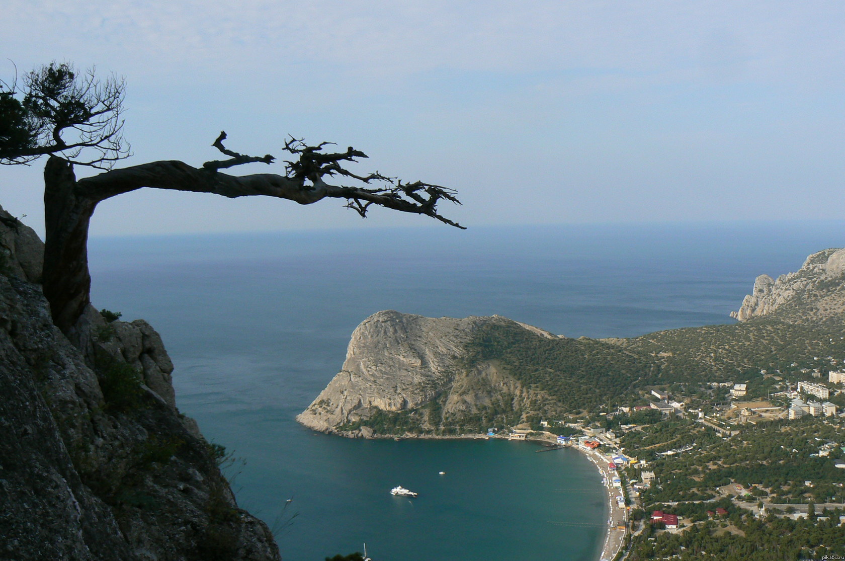 � ����� 889900