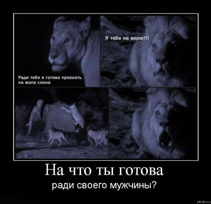 а ты на что готова ради своего мужчины?