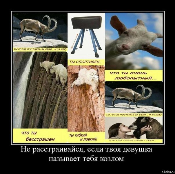 Не обижайтесь, если вас называют "козлом")))