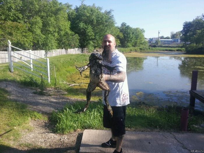  -    -,  - ,     )))