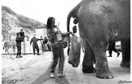 Ты думаешь у тебя дерьмовая работа?...