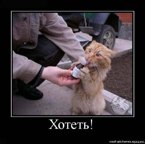 � ���� ��� �� ��������� ��������(((