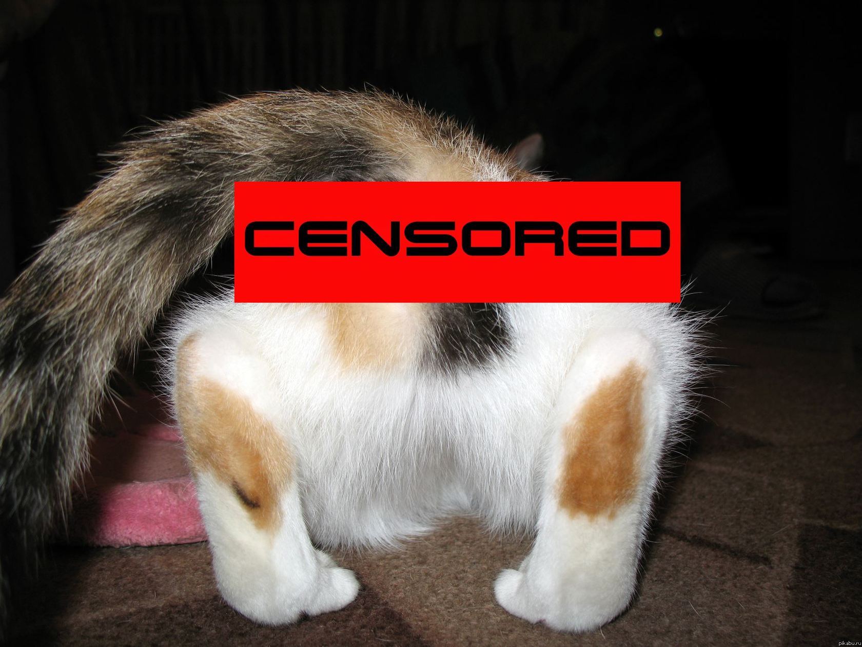 Censored!!!