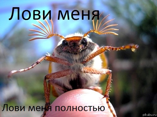 ���� ����, ���� ���� ���������