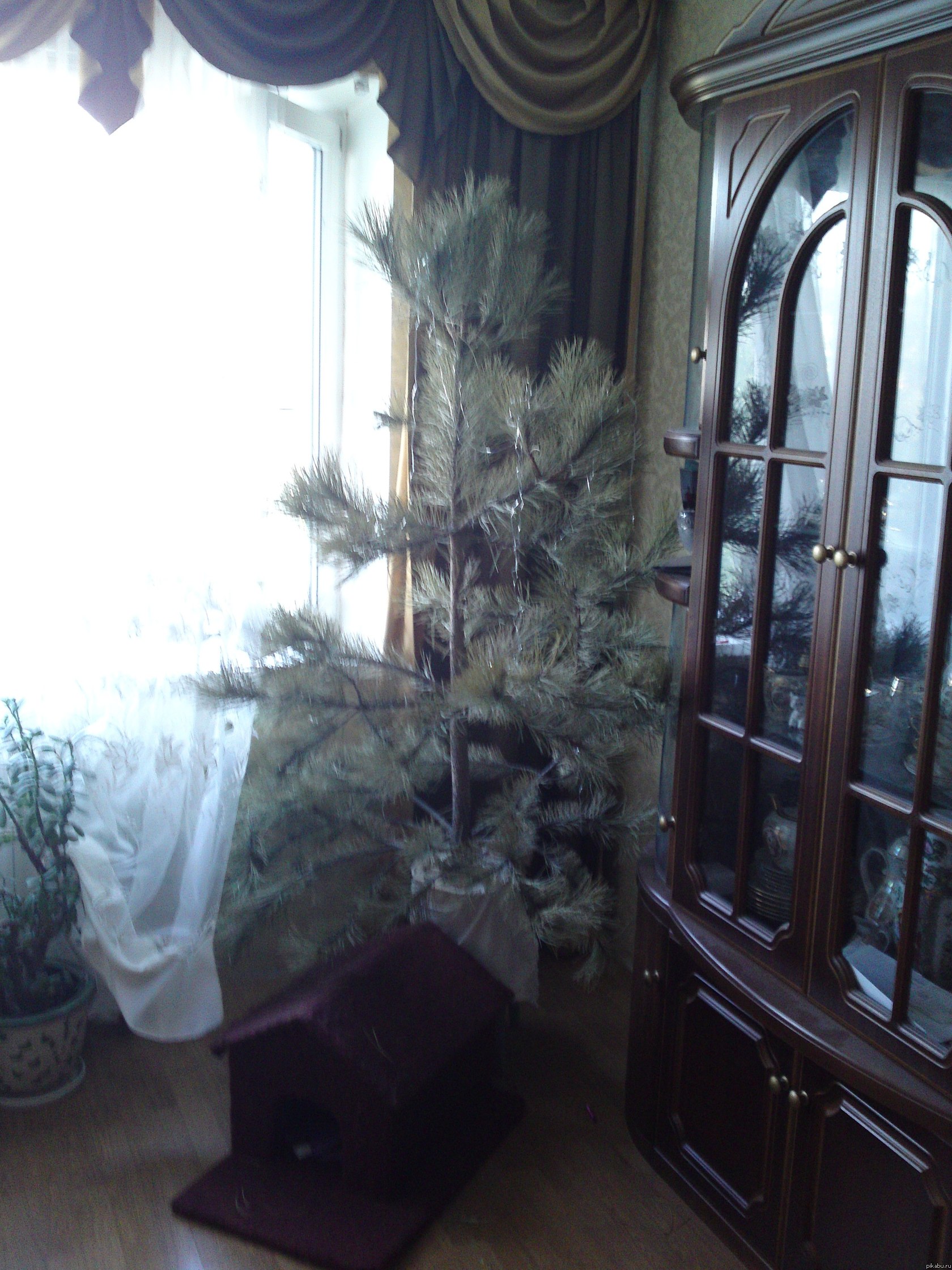 ������� �������� ���� � �� =)