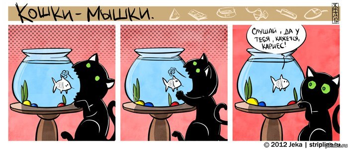Cat and Fish