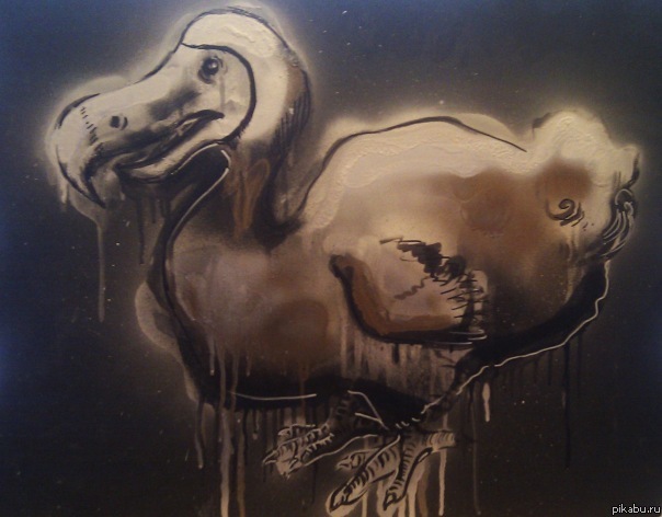 моя птица додо