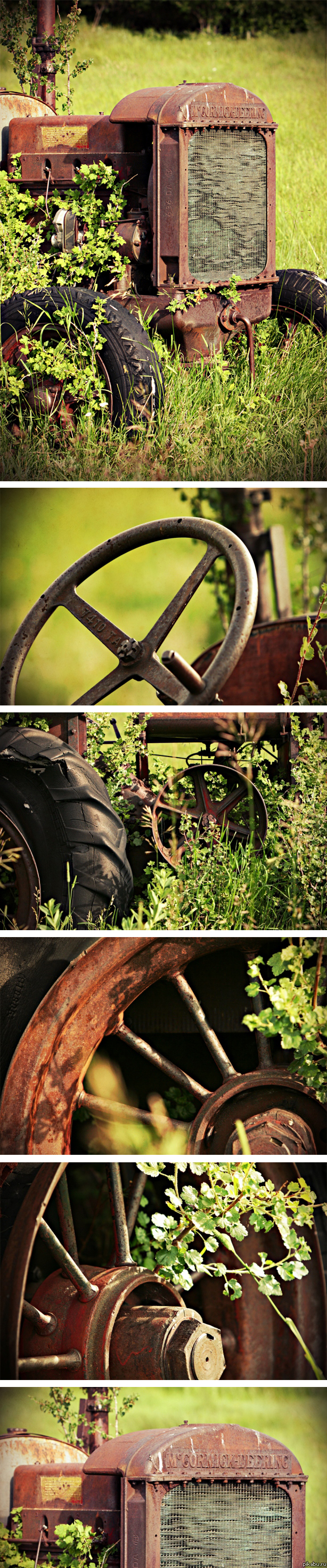 ������ ������