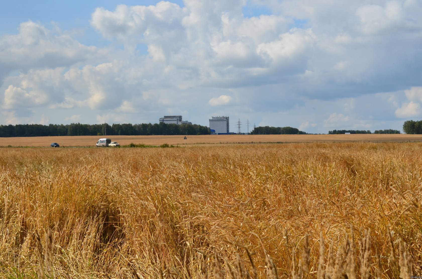     -   .     ,        ,