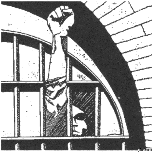 СЭР, СВОБОДА -ЭТО РАЙ! Пацаны, наконец то я на свободе!