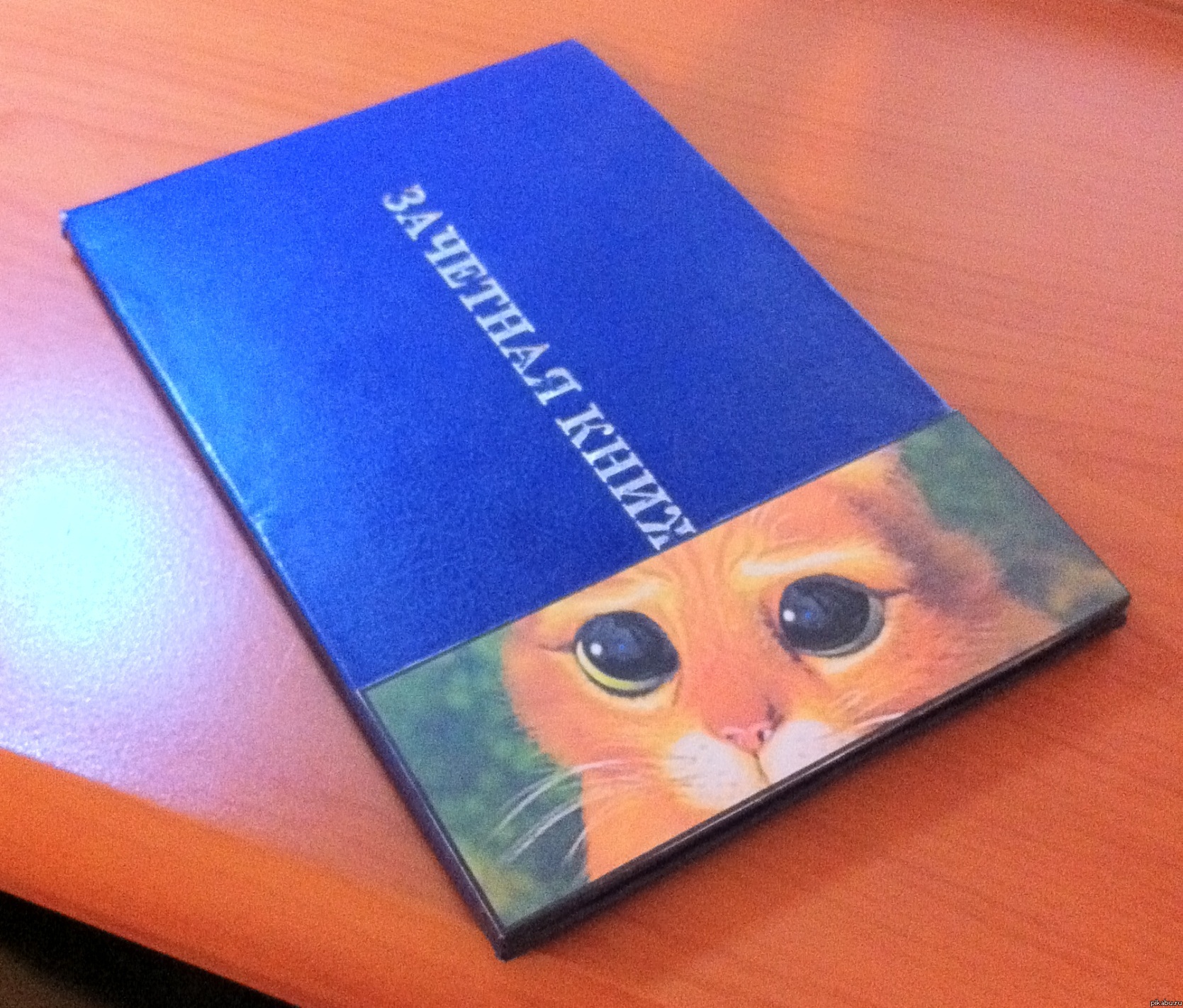 Зачетная книжка | Пикабу