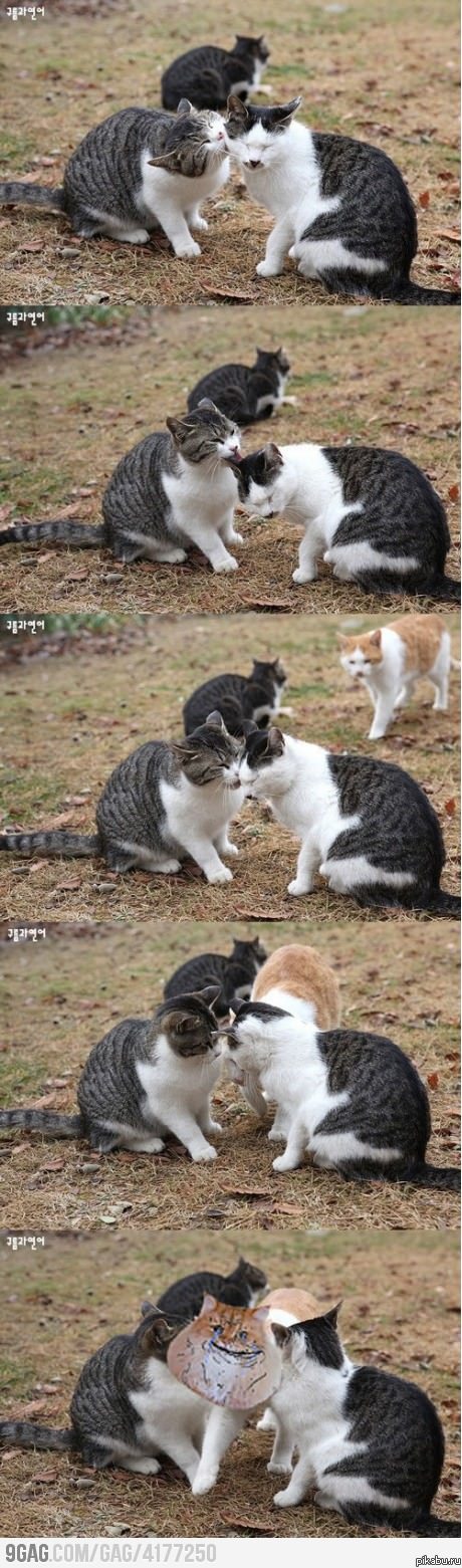 Forever alone ���