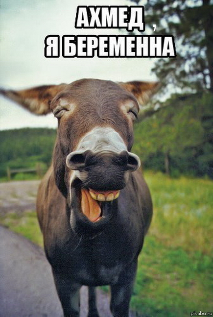 Ахмед, Ахмед...