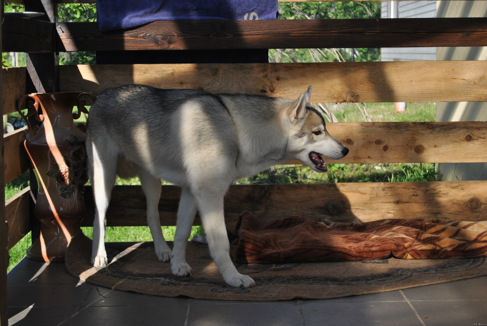 ������ ����. � ��������� ����� ���.