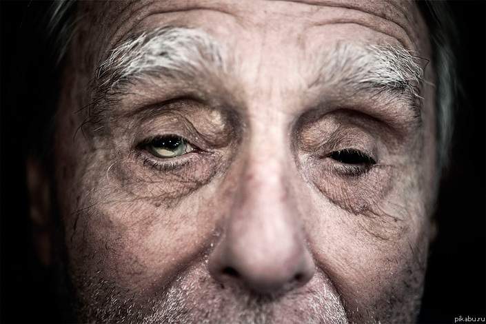     ,       Snooty Fox  ...