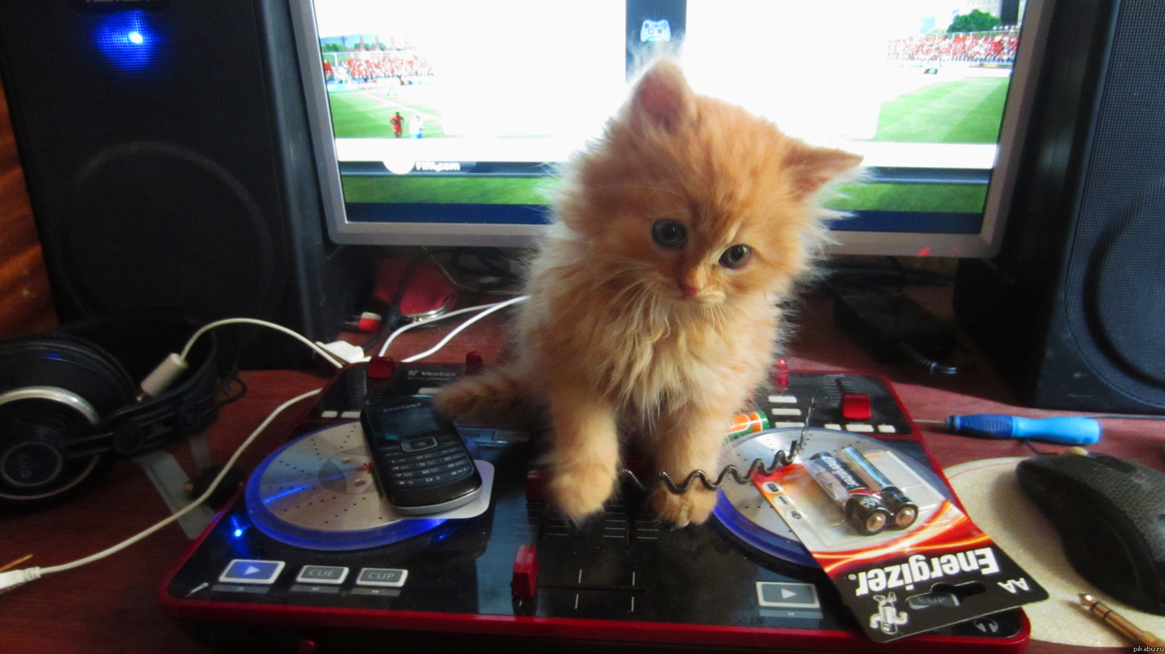 � ��������� "���-�������" ������ ���..