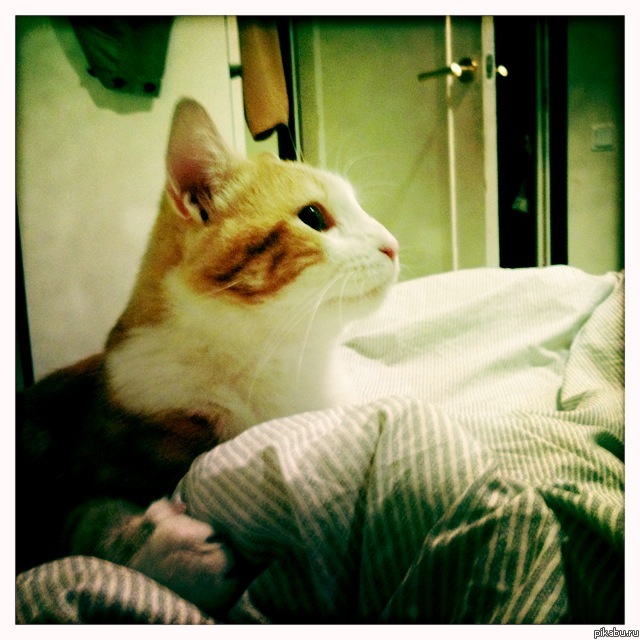 ������ � � ������ �������.