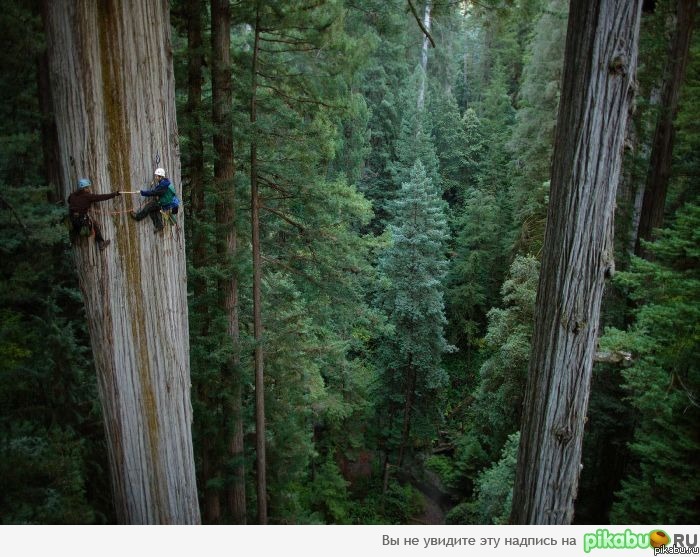 Говоришь работа у тебя тяжёлая?