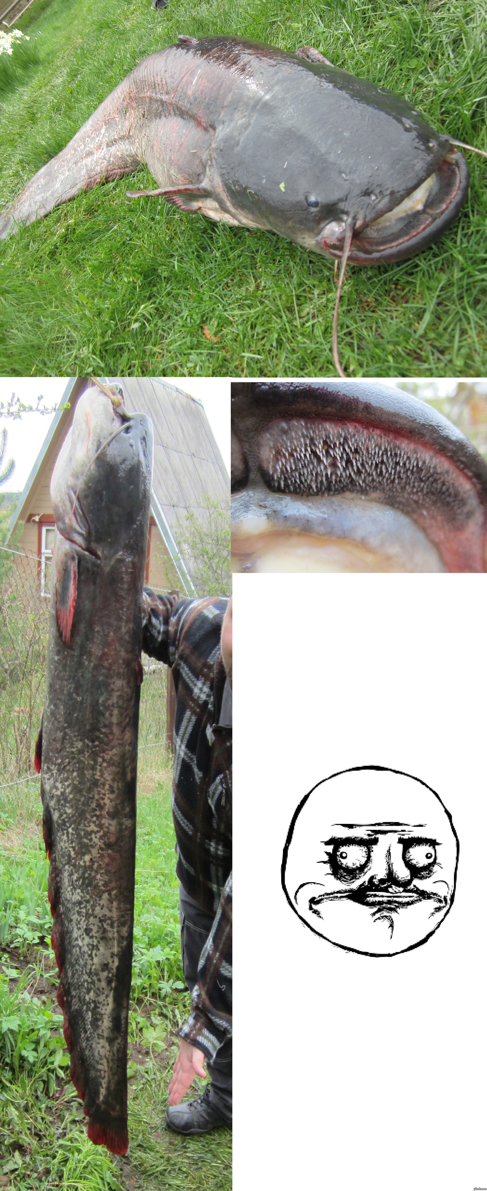 ����������� � � ����� ������ �� ������� �������� � ������ "��� ����")