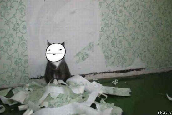 ��������...