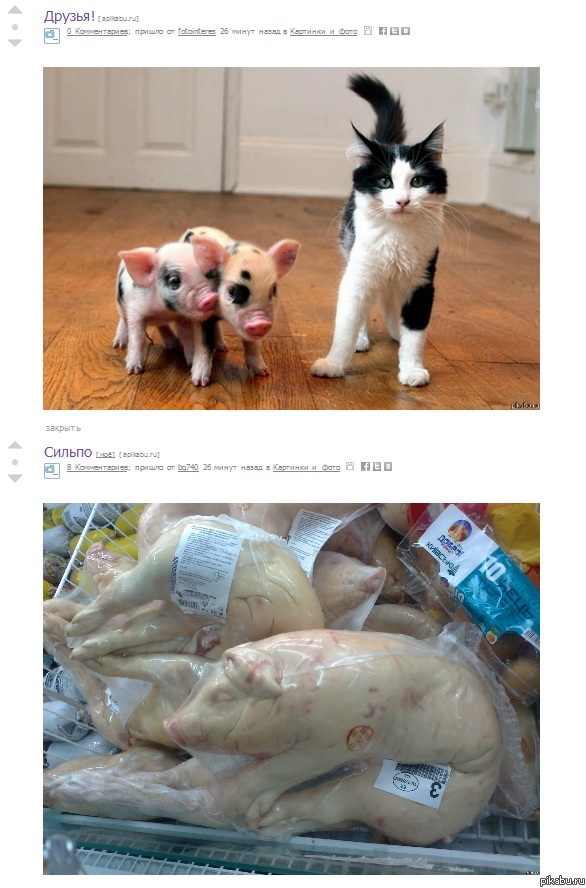 ������ �����