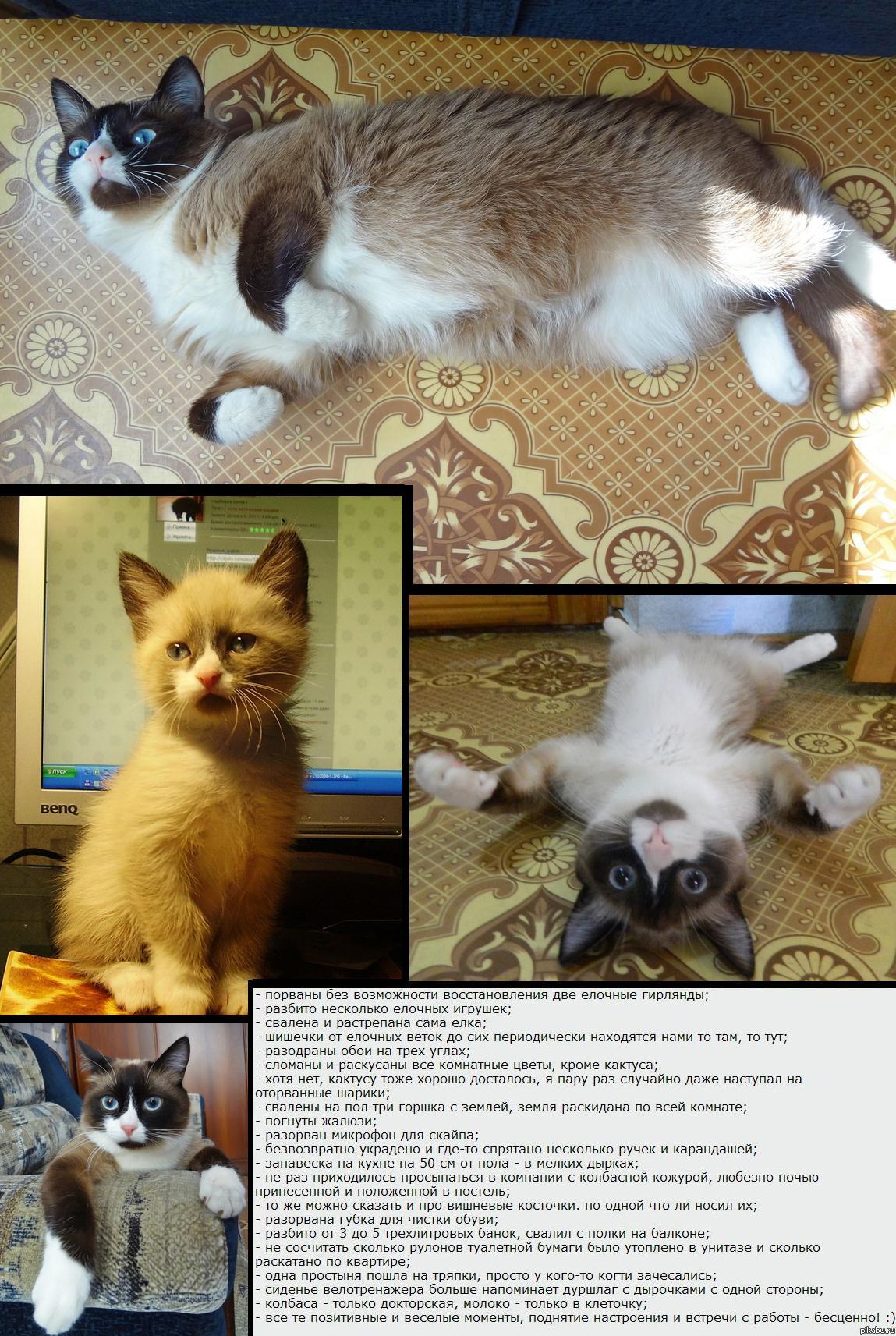 Вот уже 1,5 года вместе