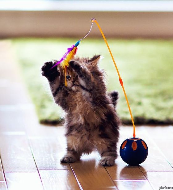 � ������ ����� ������� ^^