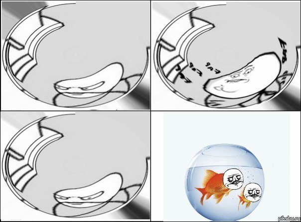 ���� �� ������??