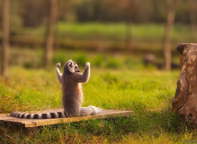 �� ������ �� � ���� ��� )