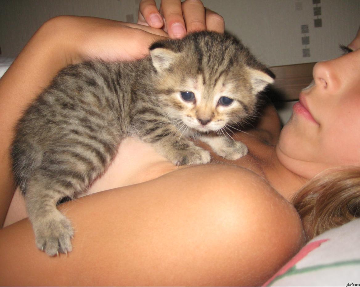 Коллега покупала котенка.