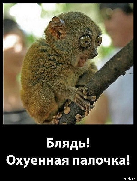 Гениальный дем )))