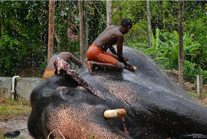 Захотел чего то большого и чистого?