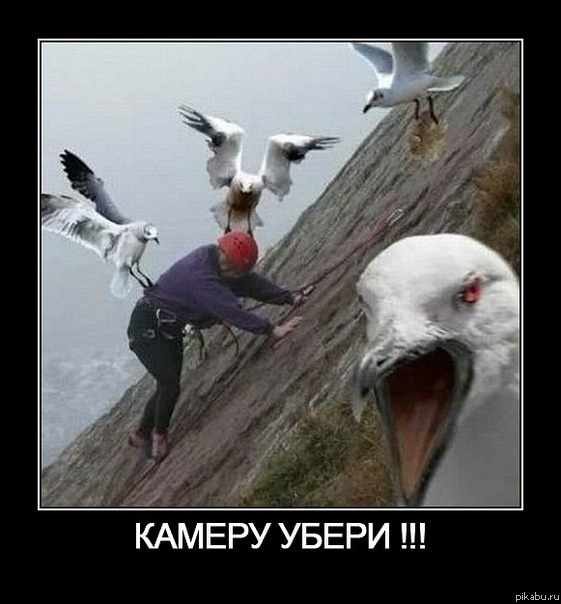 ))) 