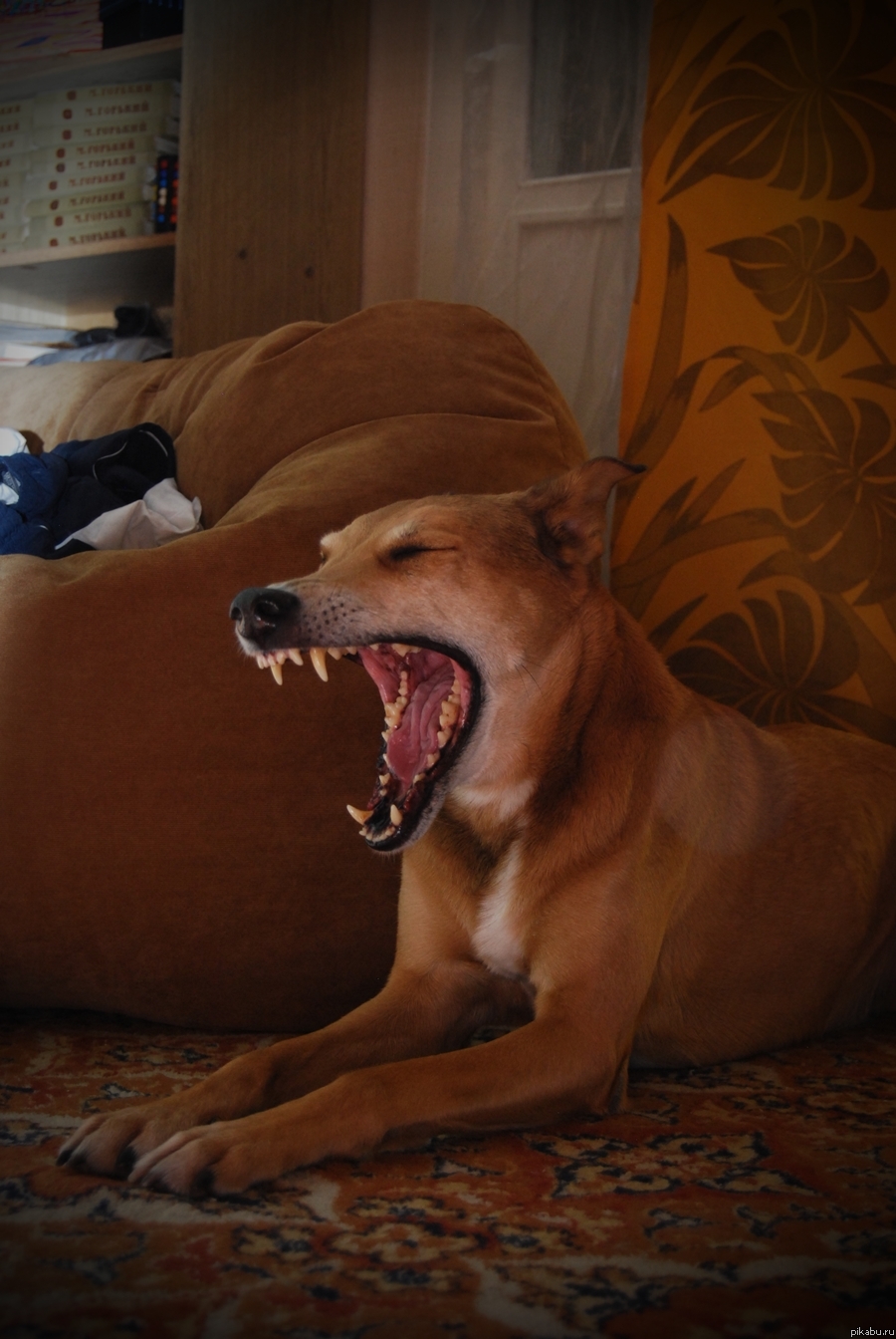 ������ � ����� ���� ������.